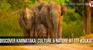 Discover Karnataka: A Journey through Culture and Nature at TTF Kolkata 2024