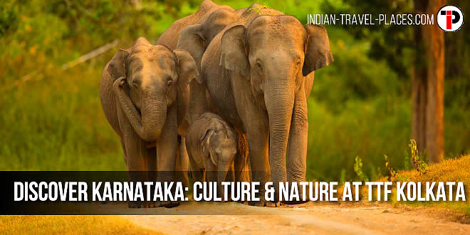 Discover Karnataka: A Journey through Culture and Nature at TTF Kolkata 2024