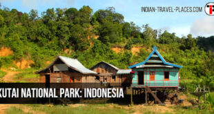 Kutai National Park: East Kalimantan Province, Indonesia.